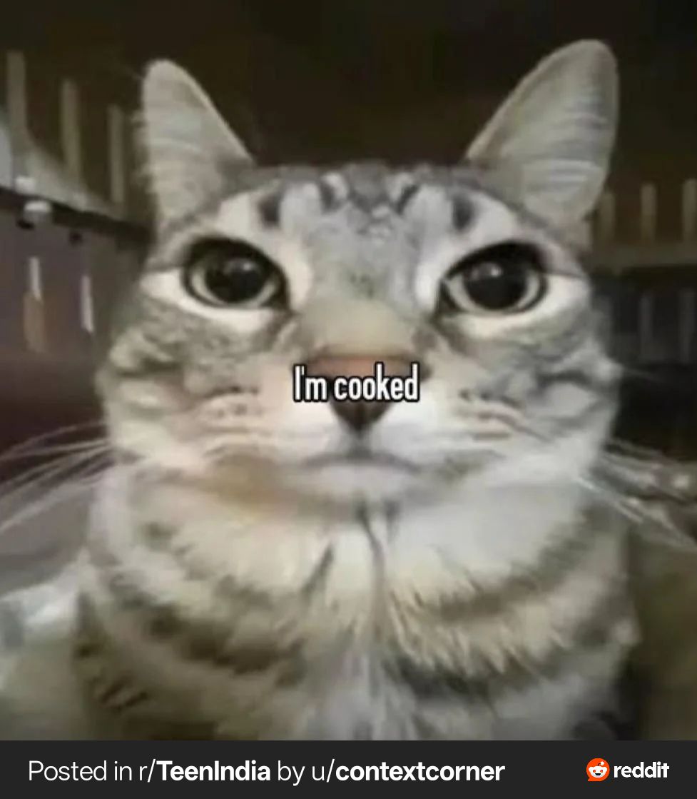 Meme